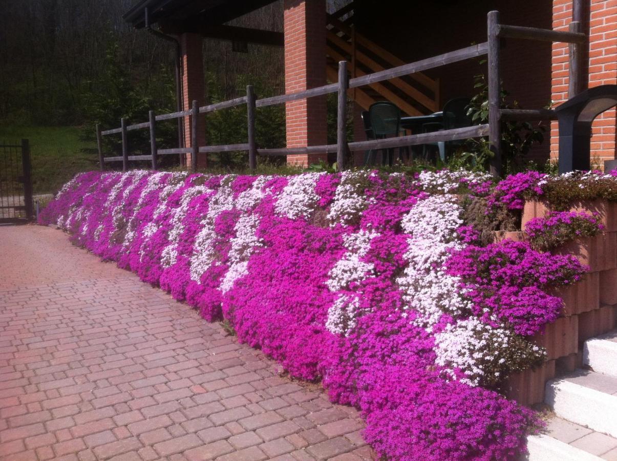 Agriturismo Altana Del Motto Rosso Gattico Exterior foto